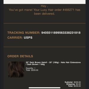 Halo Luxy hair Extensions